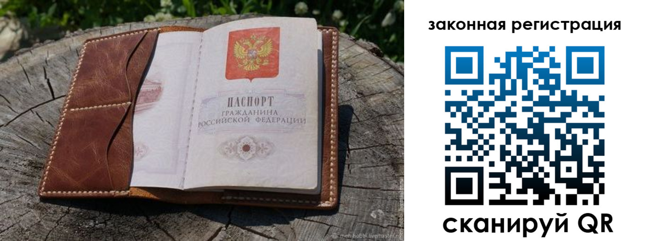 прописка в Мытищах
